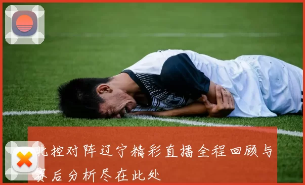 北控对阵辽宁精彩直播全程回顾与赛后分析尽在此处